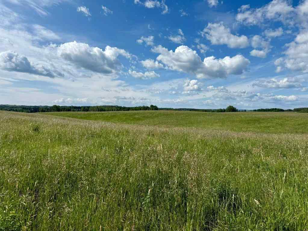 MLS® A2216785 -  RR40 south of Twp Rd 293   in NONE Rural Mountain View County, Land