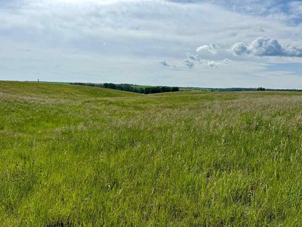 MLS® A2216785 -  RR40 south of Twp Rd 293   in NONE Rural Mountain View County, Land