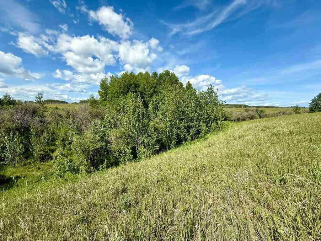 MLS® A2216785 -  RR40 south of Twp Rd 293   in NONE Rural Mountain View County, Land