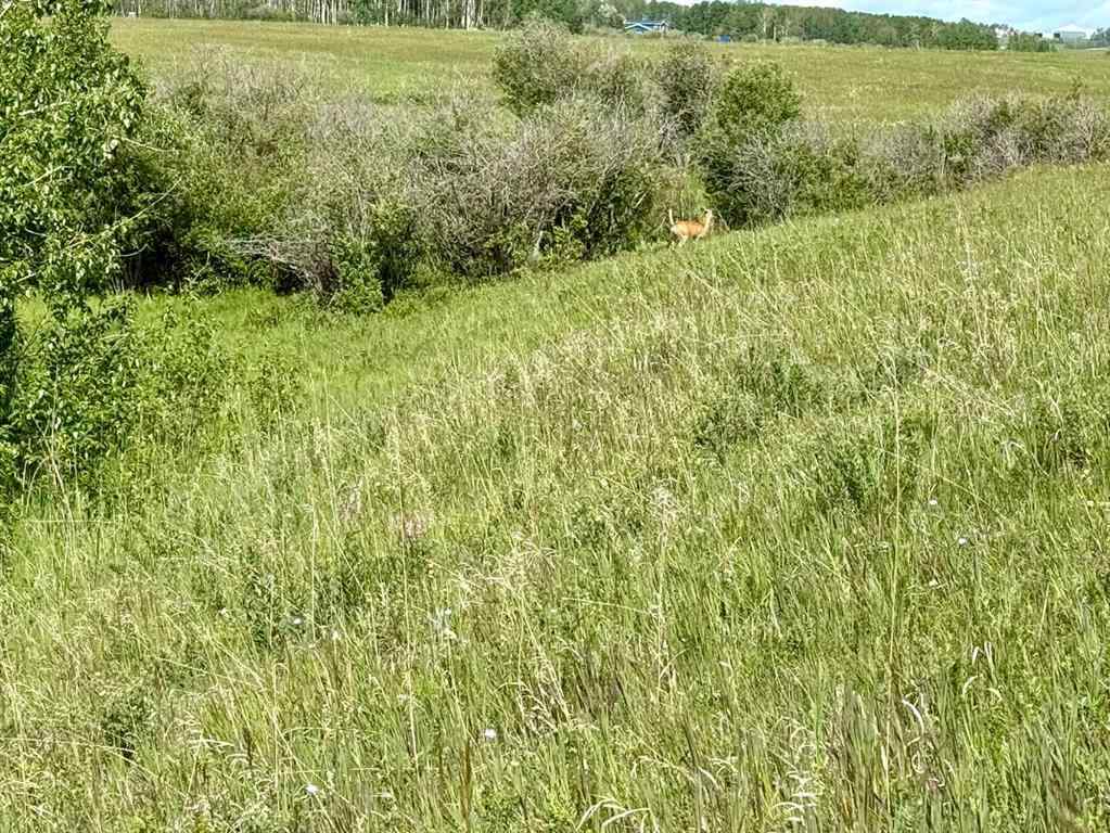 MLS® A2216785 -  RR40 south of Twp Rd 293   in NONE Rural Mountain View County, Land