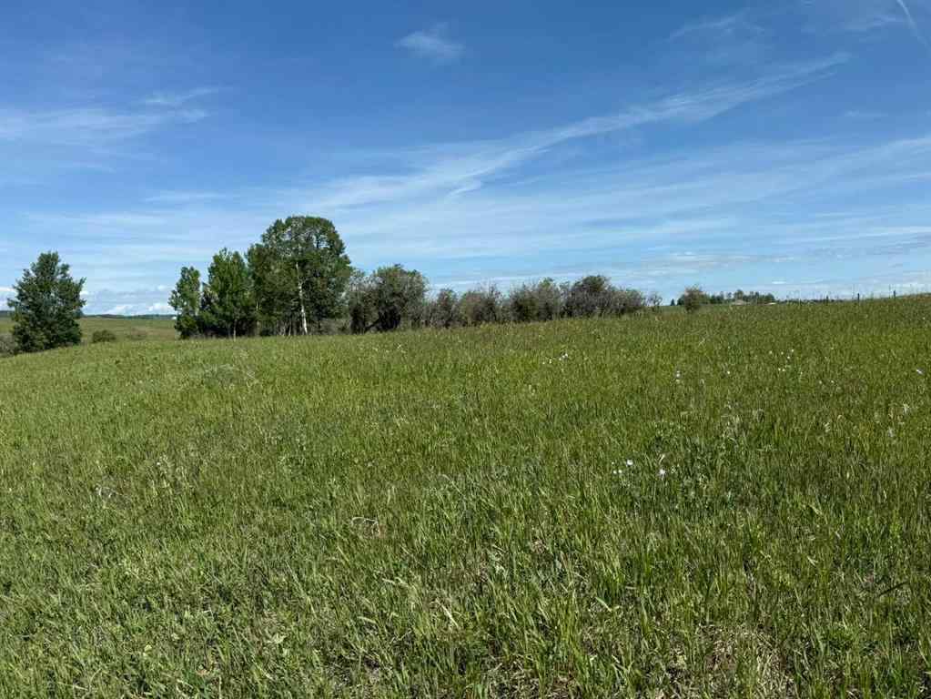 MLS® A2216785 -  RR40 south of Twp Rd 293   in NONE Rural Mountain View County, Land