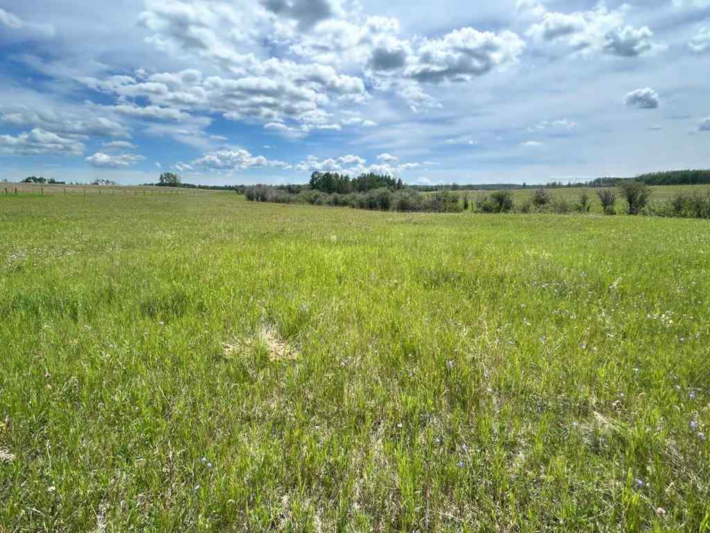 MLS® A2216785 -  RR40 south of Twp Rd 293   in NONE Rural Mountain View County, Land
