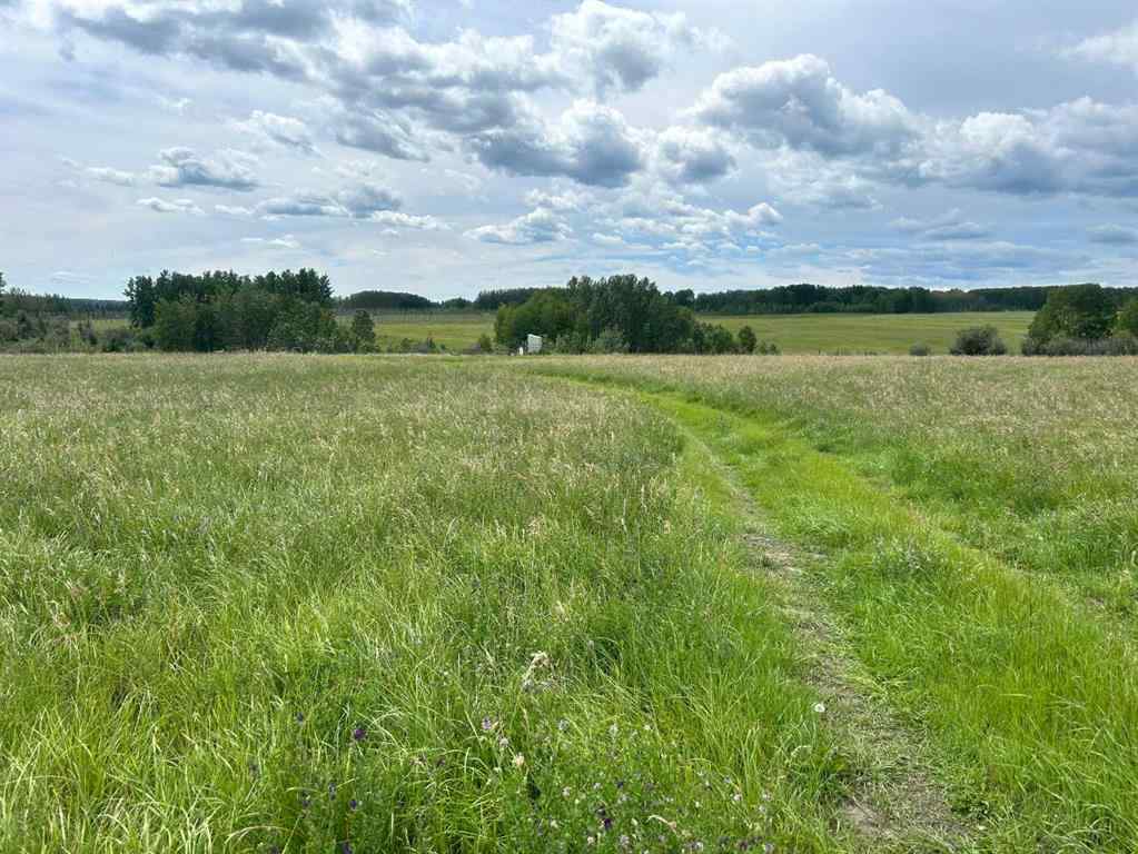 MLS® A2216785 -  RR40 south of Twp Rd 293   in NONE Rural Mountain View County, Land