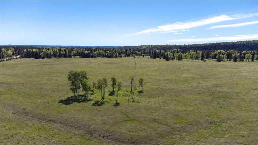 MLS® A2217203 - 47.44 +/- Acres on Township Road 324   in NONE Rural Mountain View County, Land