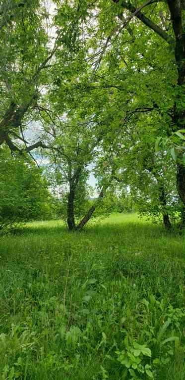 MLS® A2217284 - 1126 67325 Churchill Park Road   in NONE Lac La Biche, Land