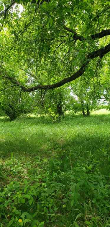 MLS® A2217284 - 1126 67325 Churchill Park Road   in NONE Lac La Biche, Land
