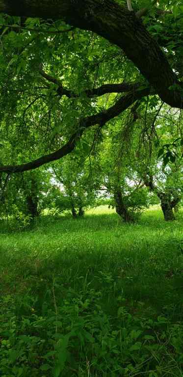 MLS® A2217284 - 1126 67325 Churchill Park Road   in NONE Lac La Biche, Land