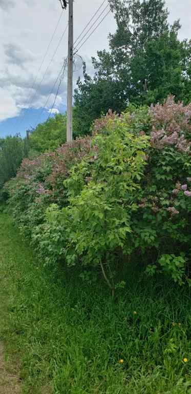 MLS® A2217284 - 1126 67325 Churchill Park Road   in NONE Lac La Biche, Land