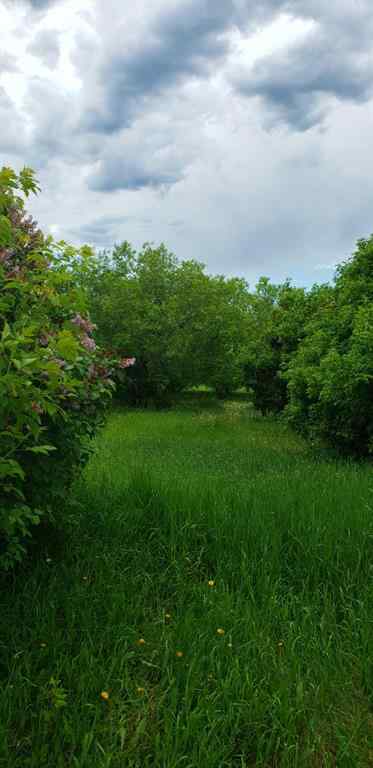 MLS® A2217284 - 1126 67325 Churchill Park Road   in NONE Lac La Biche, Land