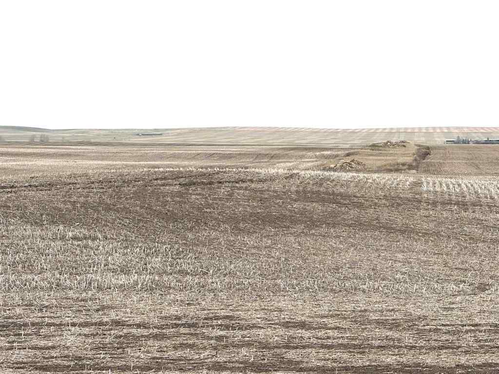 MLS® A2217316 -  466 Ave E.   in NONE Rural Vulcan County, Land