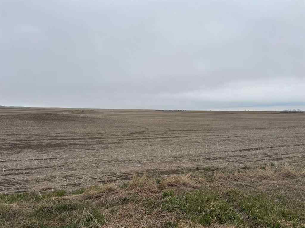 MLS® A2217316 -  466 Ave E.   in NONE Rural Vulcan County, Land