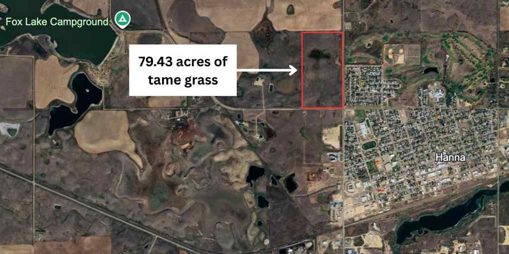 MLS® A2217431 - 1001 Fox Lake Trail   in Hanna Hanna, Agri-Business