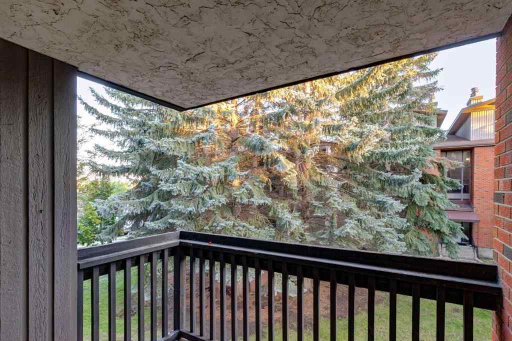 MLS® A2217749 - Unit #205A 7301 4A Street SW in Kingsland Calgary, Residential