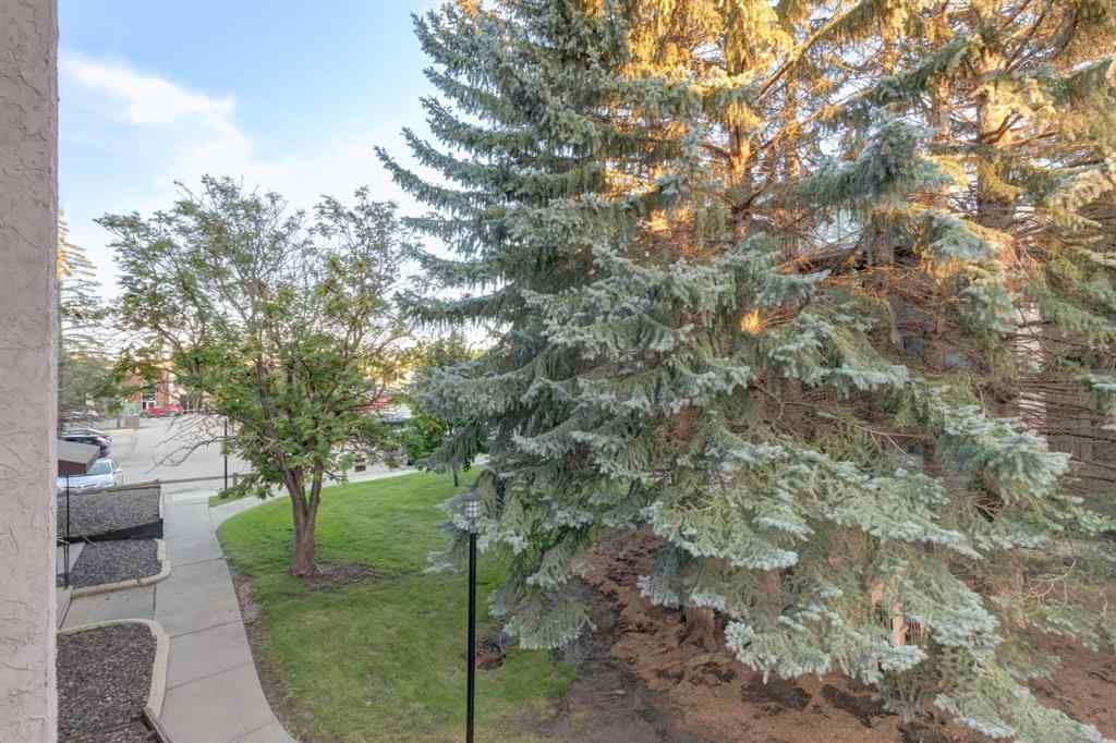 MLS® A2217749 - Unit #205A 7301 4A Street SW in Kingsland Calgary, Residential