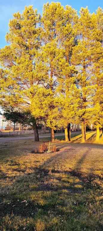 MLS® A2217811 - 75304 Range Road 171   in NONE High Prairie, Residential