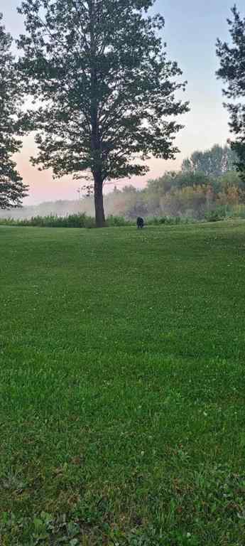 MLS® A2217811 - 75304 Range Road 171   in NONE High Prairie, Residential