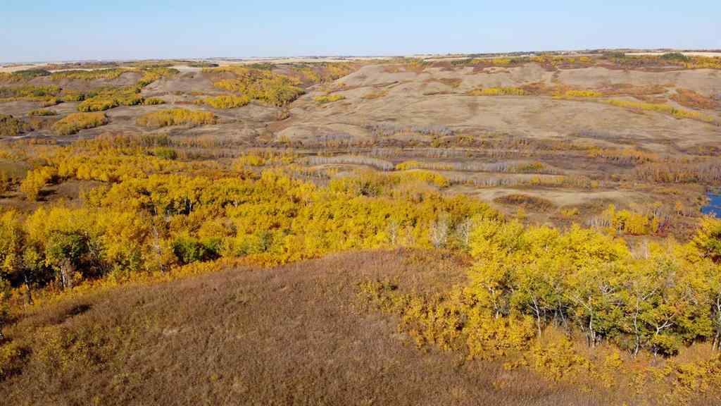 MLS® A2217863 -  Pt of SW 35-45-7-W4   in NONE Rural Wainwright No. 61, M.D. of, Land