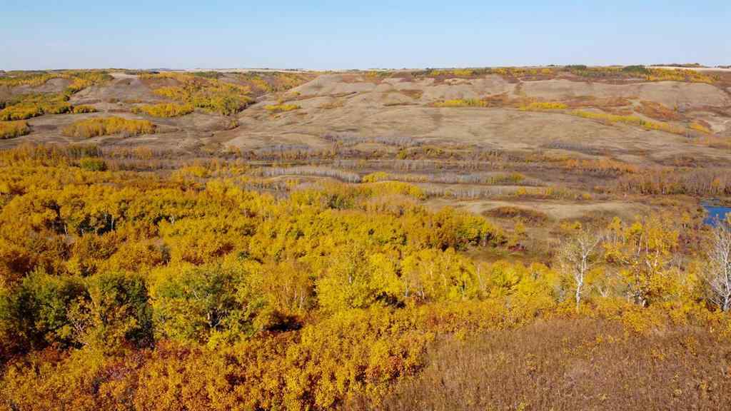 MLS® A2217863 -  Pt of SW 35-45-7-W4   in NONE Rural Wainwright No. 61, M.D. of, Land
