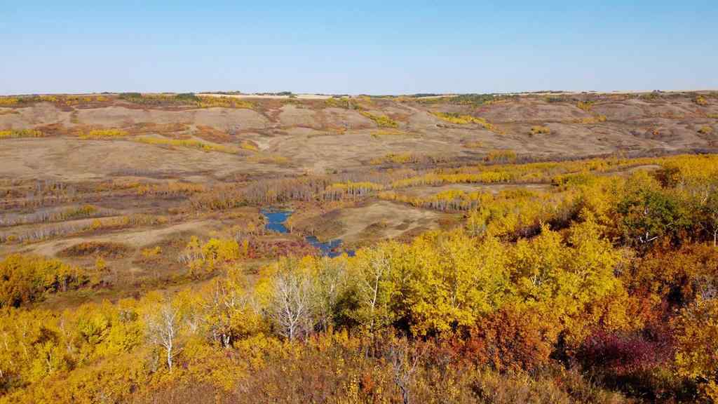 MLS® A2217863 -  Pt of SW 35-45-7-W4   in NONE Rural Wainwright No. 61, M.D. of, Land