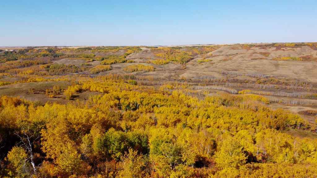 MLS® A2217863 -  Pt of SW 35-45-7-W4   in NONE Rural Wainwright No. 61, M.D. of, Land