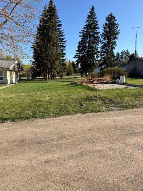 MLS® A2218237 - 519 4th Avenue  in NONE Elnora, Land