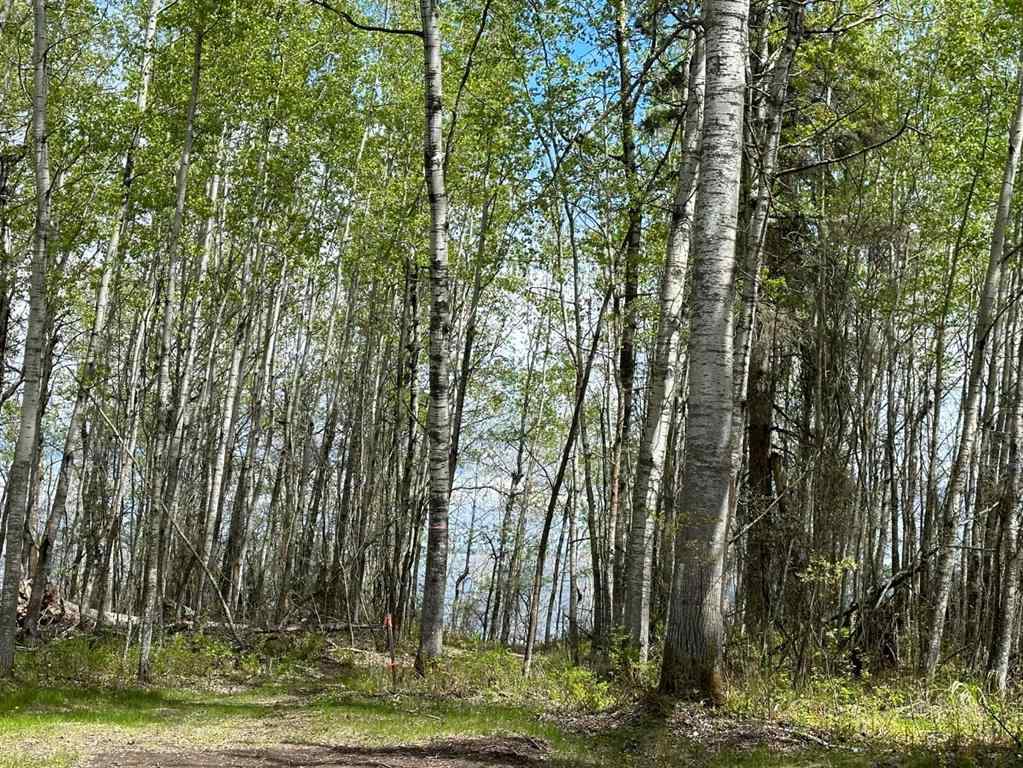 MLS® A2218374 - 24 Eagle Haunt   in NONE Lac La Biche, Land