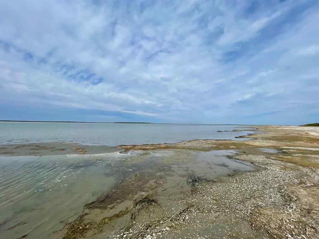 MLS® A2218707 - 28 Sunset Lane   in Buffalo Sands Rural Stettler No. 6, County of, Land