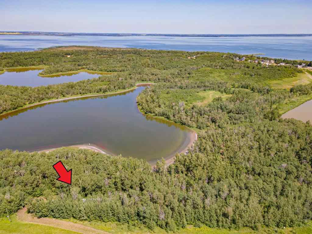 MLS® A2218730 - 14 Buffalo Way  in Rochon Sands Estate Rural Stettler No. 6, County of, Land