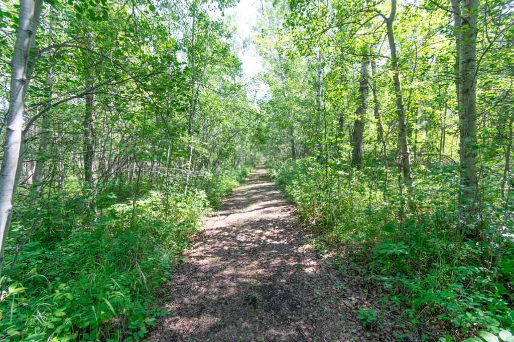 MLS® A2218730 - 14 Buffalo Way  in Rochon Sands Estate Rural Stettler No. 6, County of, Land