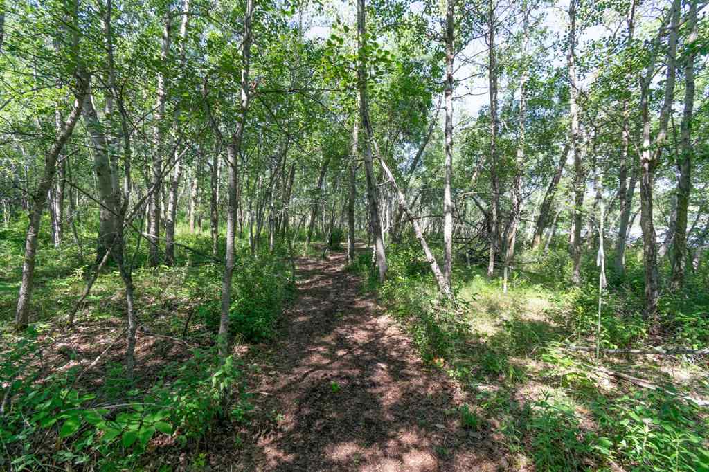 MLS® A2218730 - 14 Buffalo Way  in Rochon Sands Estate Rural Stettler No. 6, County of, Land