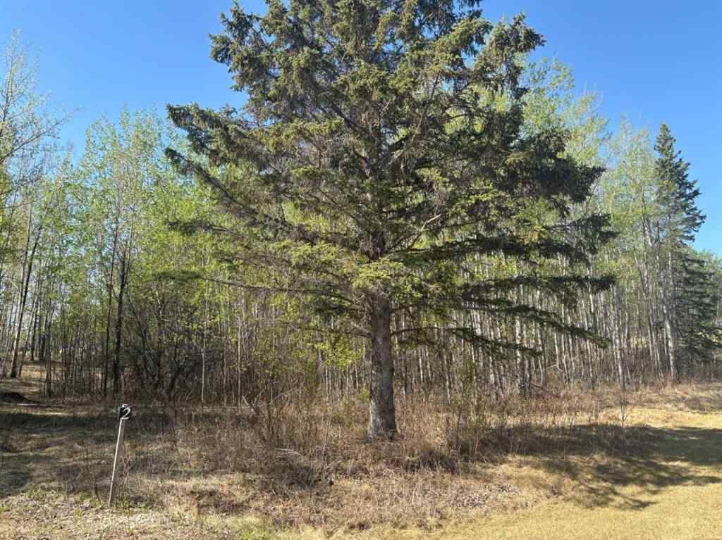 MLS® A2219089 - Unit ##2 660023 Range Road 224   in NONE Rural Athabasca County, Land