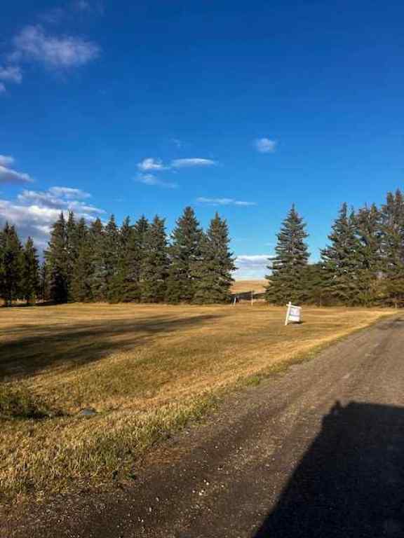 MLS® A2219096 - 228 2 Street S in NONE Huxley, Land
