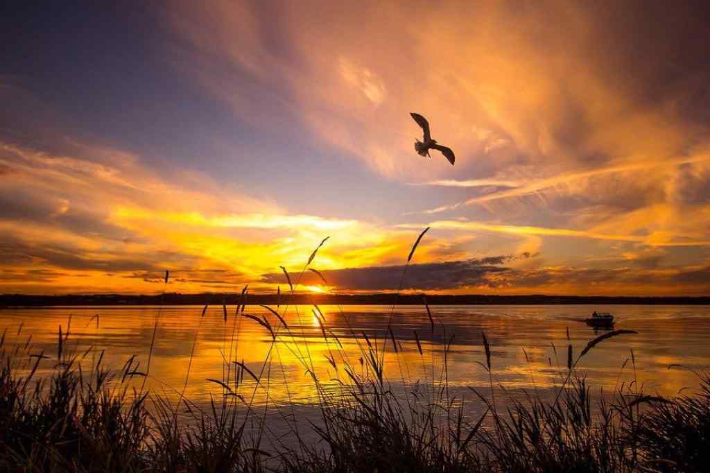 MLS® A2219526 - 0 Old Trail  in NONE Rural Lac La Biche County, Land