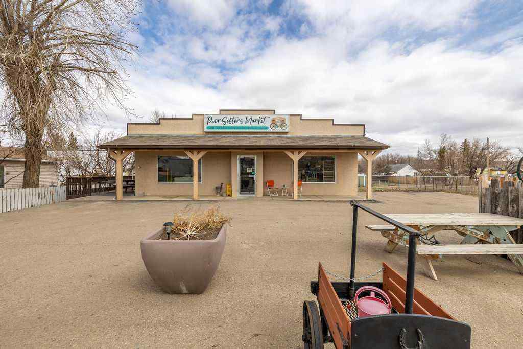 MLS® A2219581 - 32 2 Avenue S in Rosedale Drumheller, Commercial