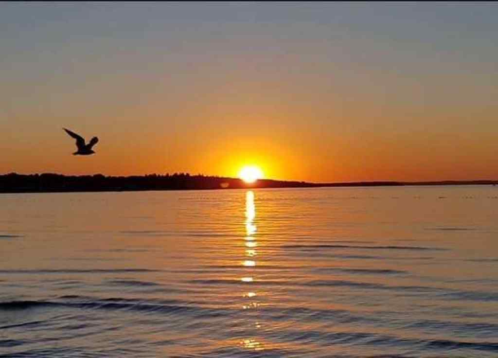 MLS® A2219736 - Unit #42 5230 Lakeshore Drive  in Downtown Sylvan Lake, Land