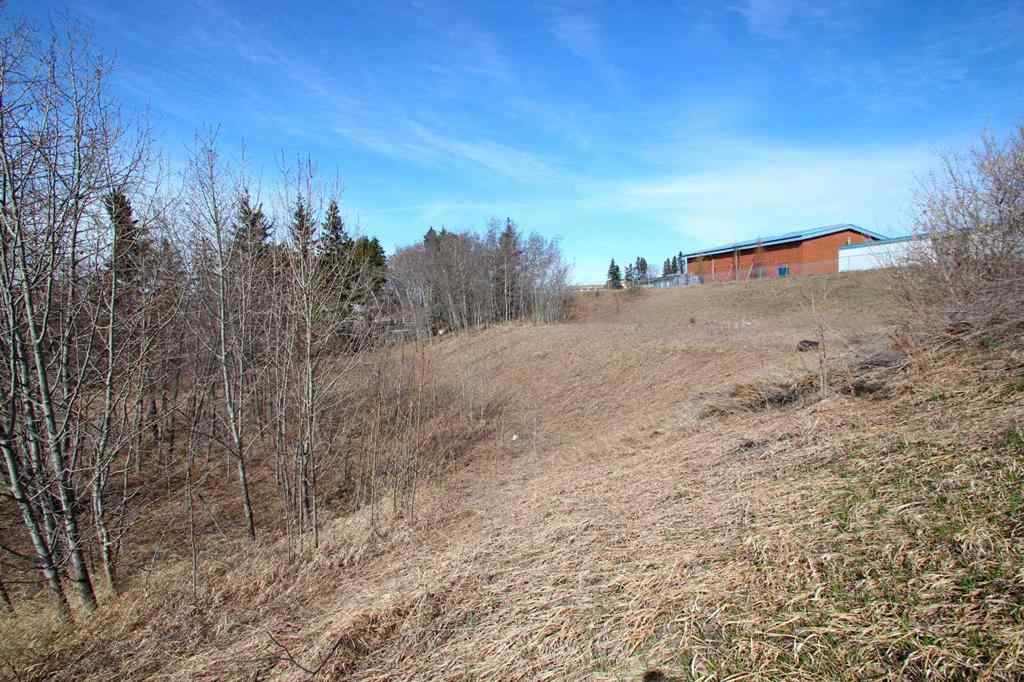 MLS® A2219791 - 4906 south   in Downtown Blackfalds, Land