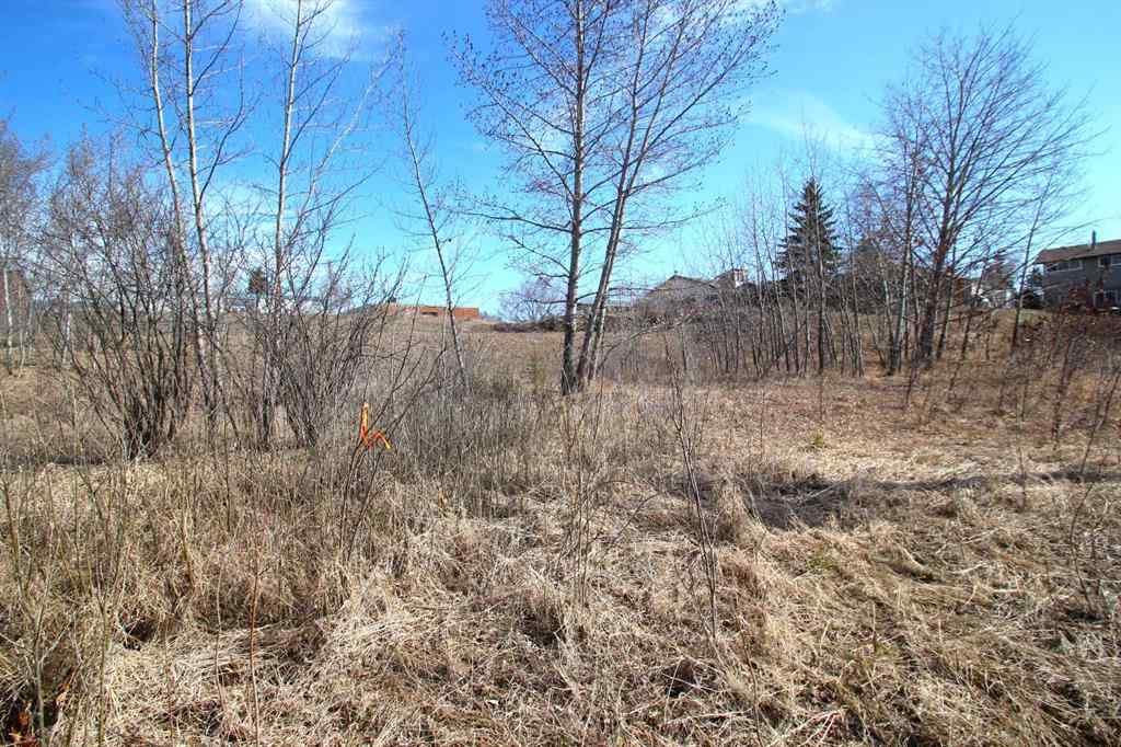 MLS® A2219791 - 4906 south   in Downtown Blackfalds, Land