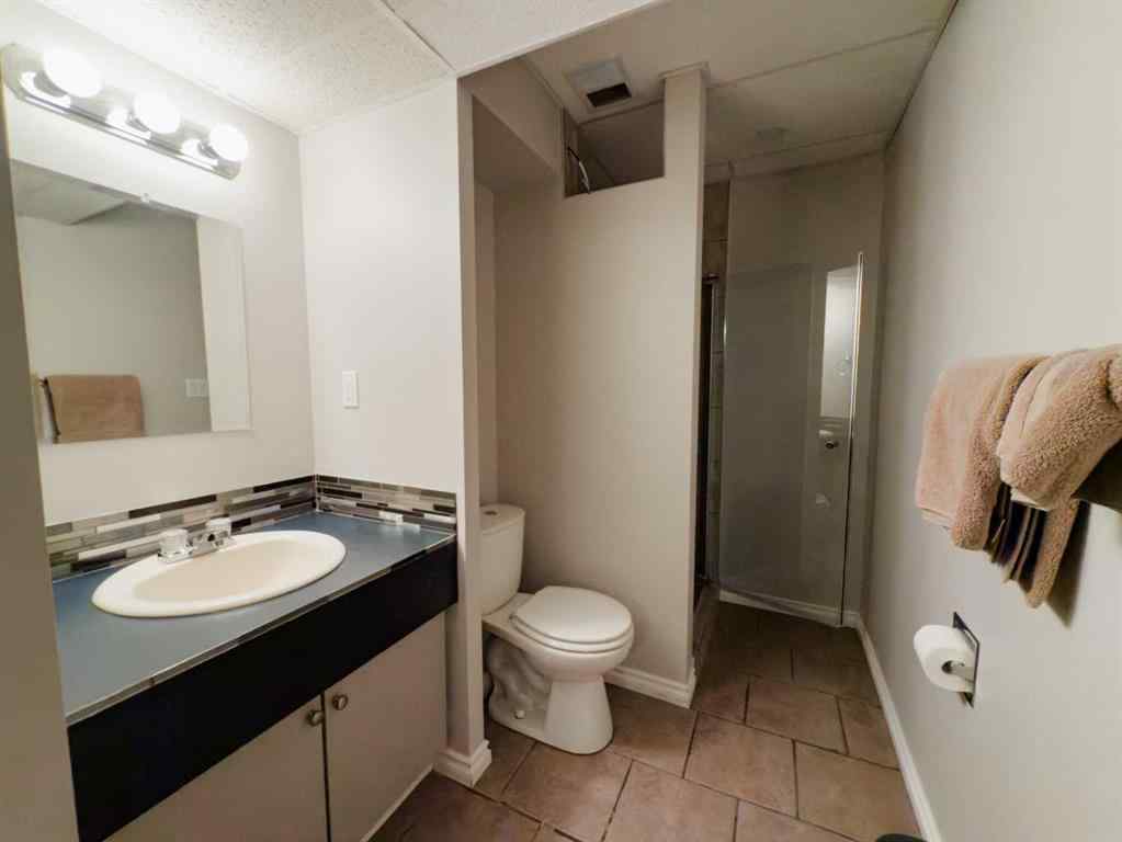 MLS® A2220270 - 123 Cheviot Drive  in Mountain View Hinton, Residential