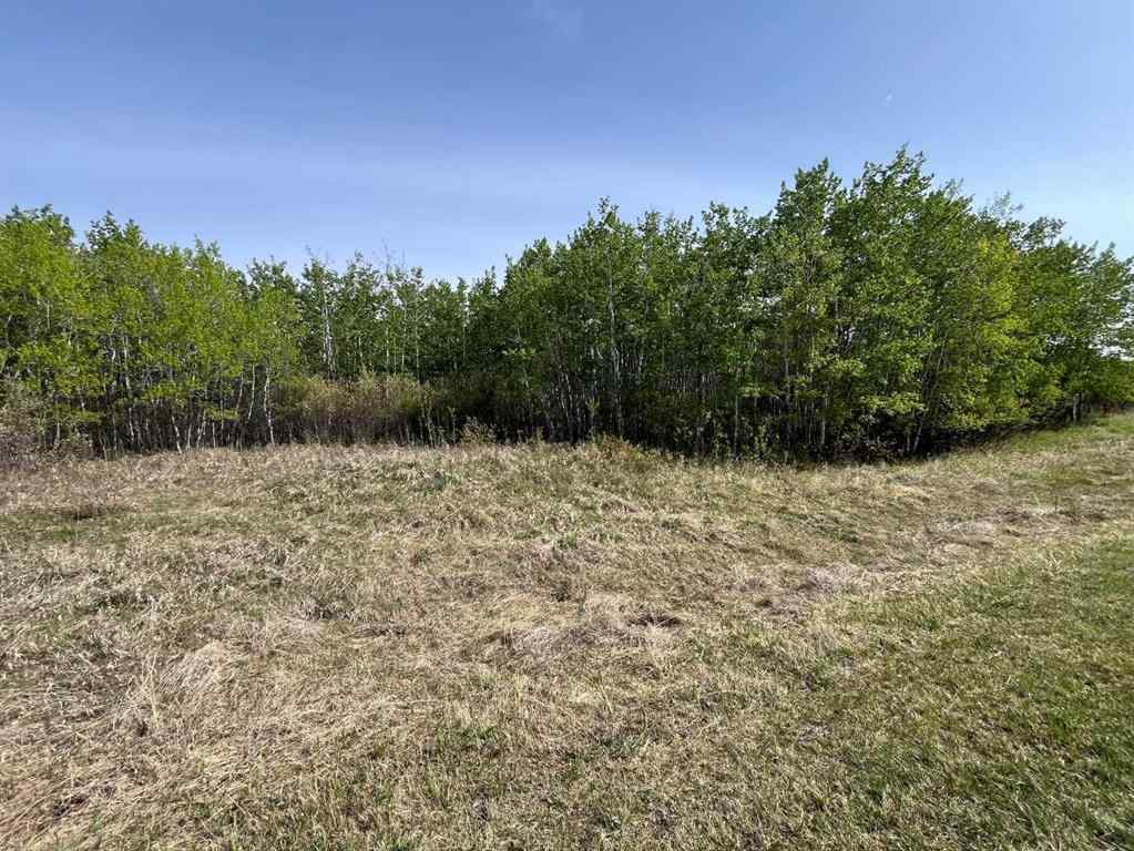 MLS® A2220318 -  Grandview Estates   in Grandview Estate Rural Vermilion River, County of, Land