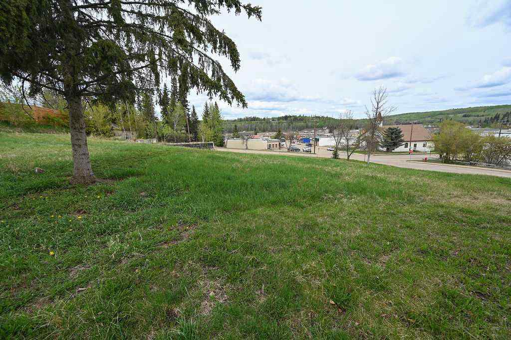 MLS® A2220404 - 5106 49 Avenue  in Athabasca Town Athabasca, Land