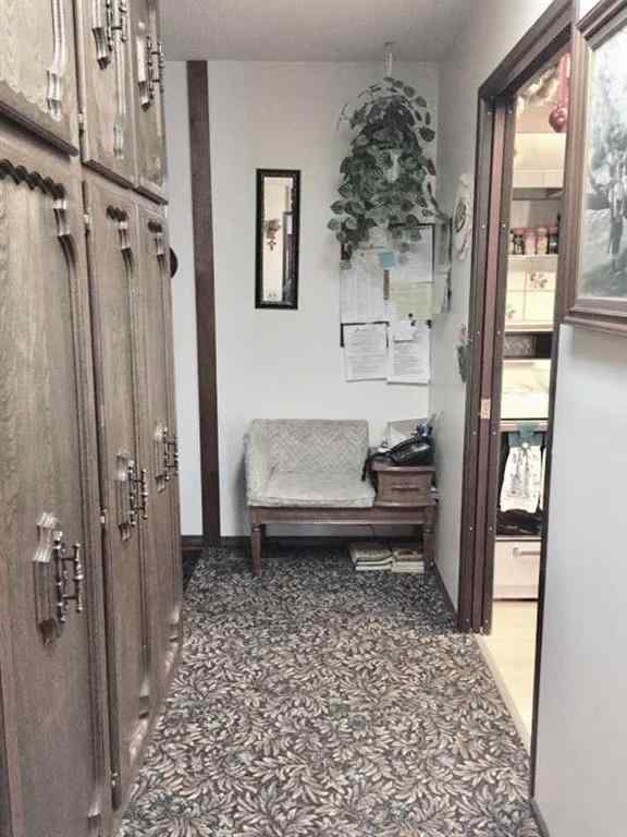MLS® A2221070 - 4824 50 Street  in Innisfree Innisfree, Residential
