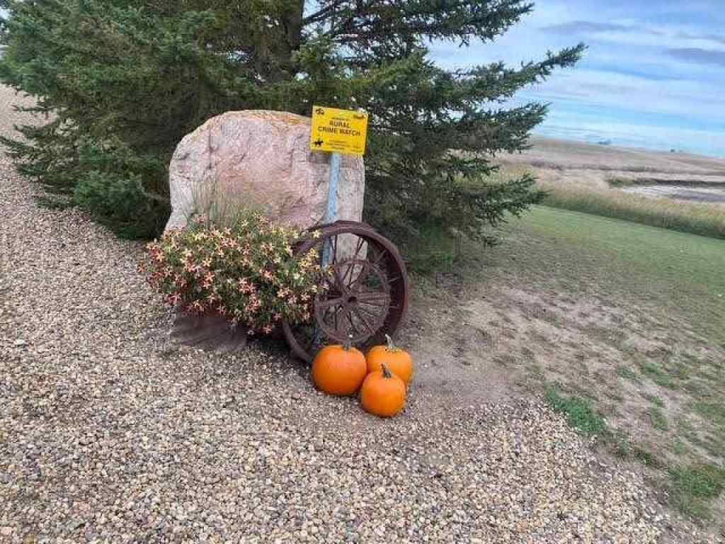 MLS® A2221169 - 19134 Township Road 41-2   in NONE Rural Stettler No. 6, County of, Residential