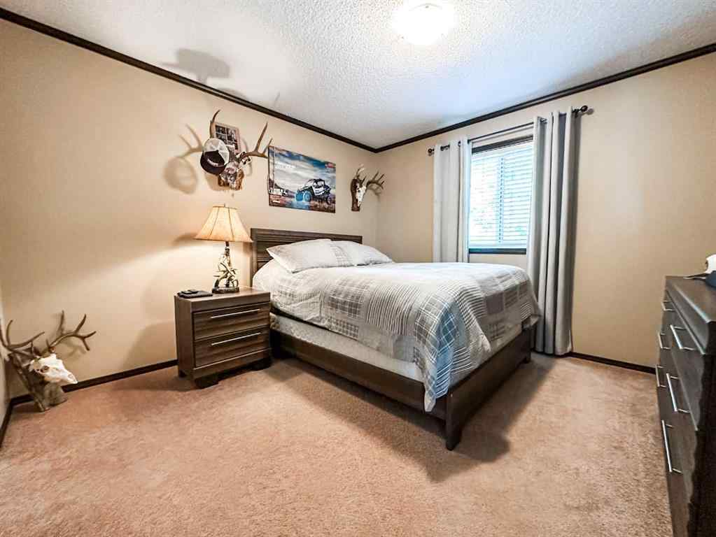 MLS® A2221169 - 19134 Township Road 41-2   in NONE Rural Stettler No. 6, County of, Residential
