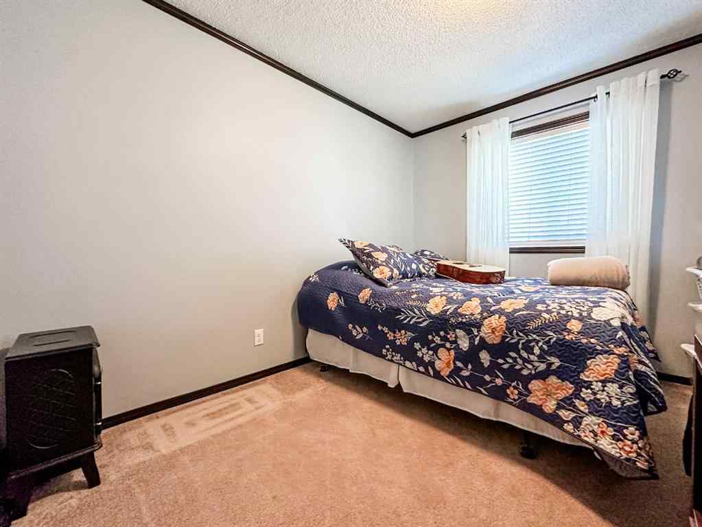 MLS® A2221169 - 19134 Township Road 41-2   in NONE Rural Stettler No. 6, County of, Residential