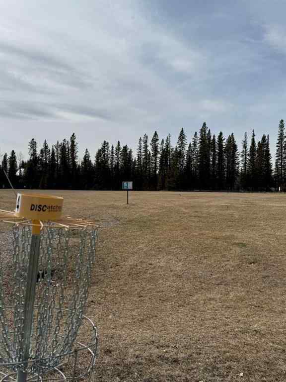 MLS® A2221236 - Unit ##203 5230 Highway 27   in NONE Sundre, Land