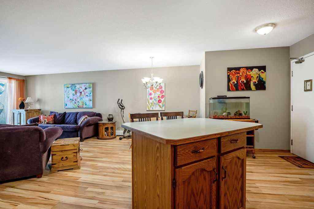 MLS® A2221340 - Unit #205 1723 35 Street SE in Albert Park/Radisson Heights Calgary, Residential
