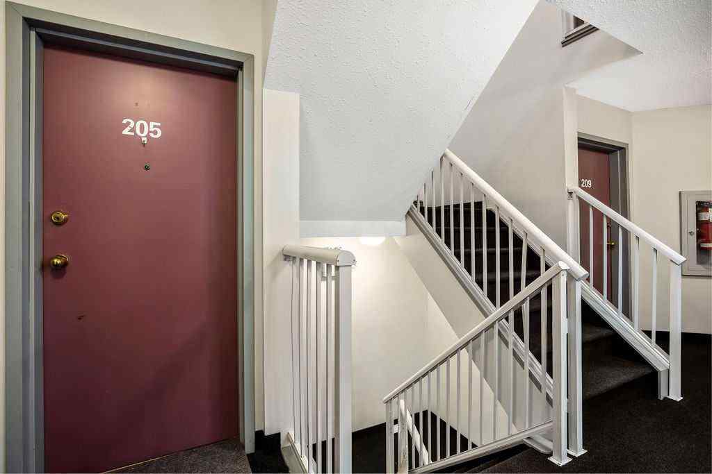MLS® A2221340 - Unit #205 1723 35 Street SE in Albert Park/Radisson Heights Calgary, Residential