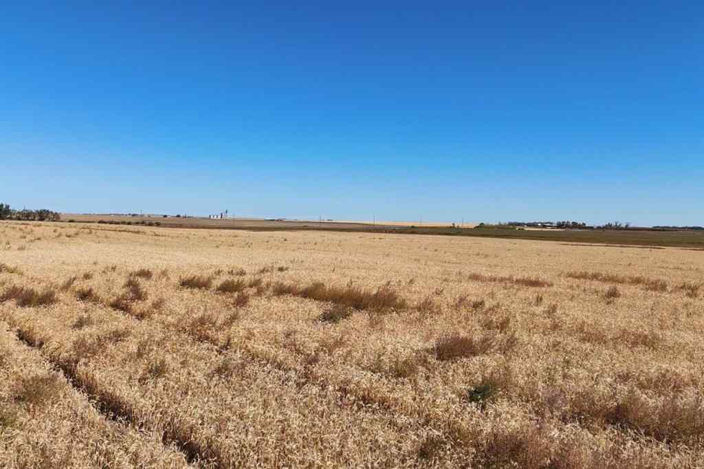 MLS® A2221345 -  Highway 9 Highway NE in NONE Rural Rocky View County, Land