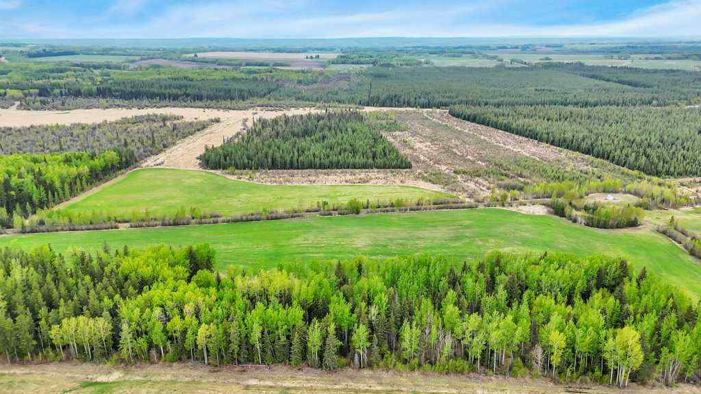 MLS® A2221361 - NW S11-T46-R7 W5 Twp Rd 462   in NONE Rural Wetaskiwin No. 10, County of, Land