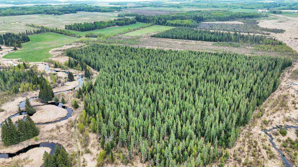 MLS® A2221361 - NW S11-T46-R7 W5 Twp Rd 462   in NONE Rural Wetaskiwin No. 10, County of, Land